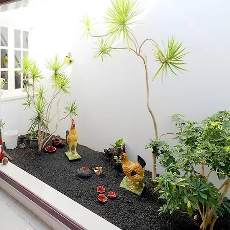 別荘 Jazmin, 3 Bed In Mojones *